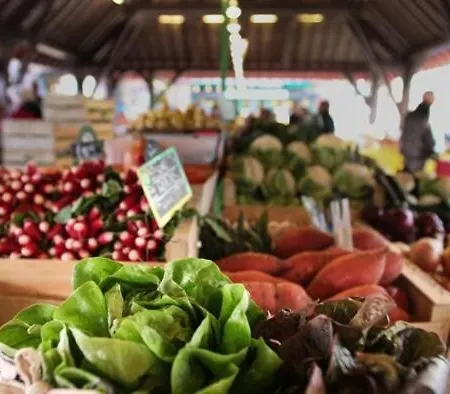 Maison En Plein Cœur De Deauville, à Pied, 6 Personnes *